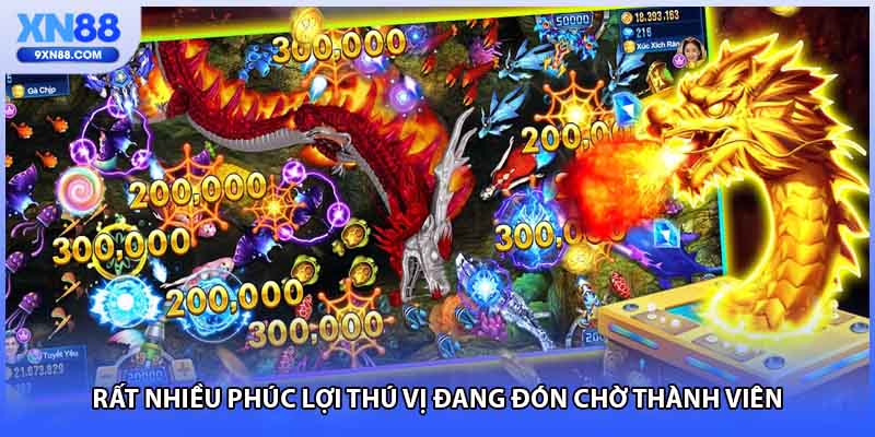 Rất nhiều phúc lợi thú vị đang đón chờ thành viên 